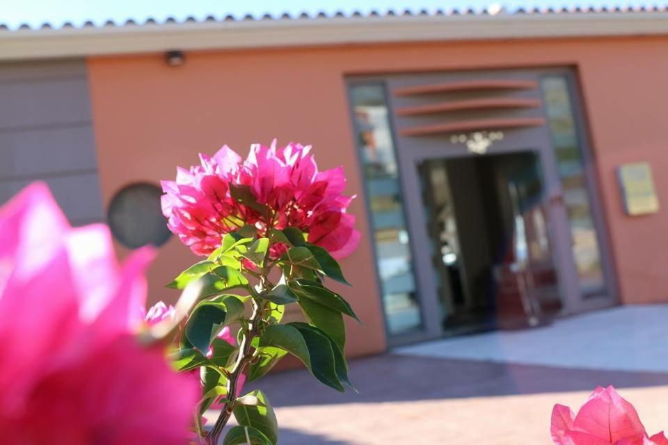 Thalassa Hotel Palairos Exterior photo