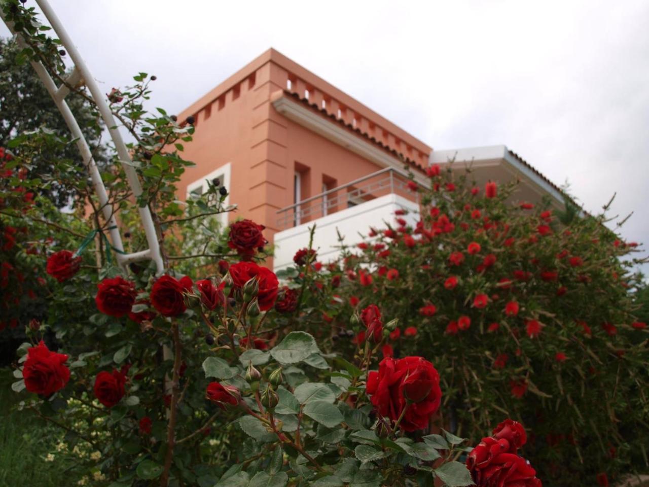 Thalassa Hotel Palairos Exterior photo